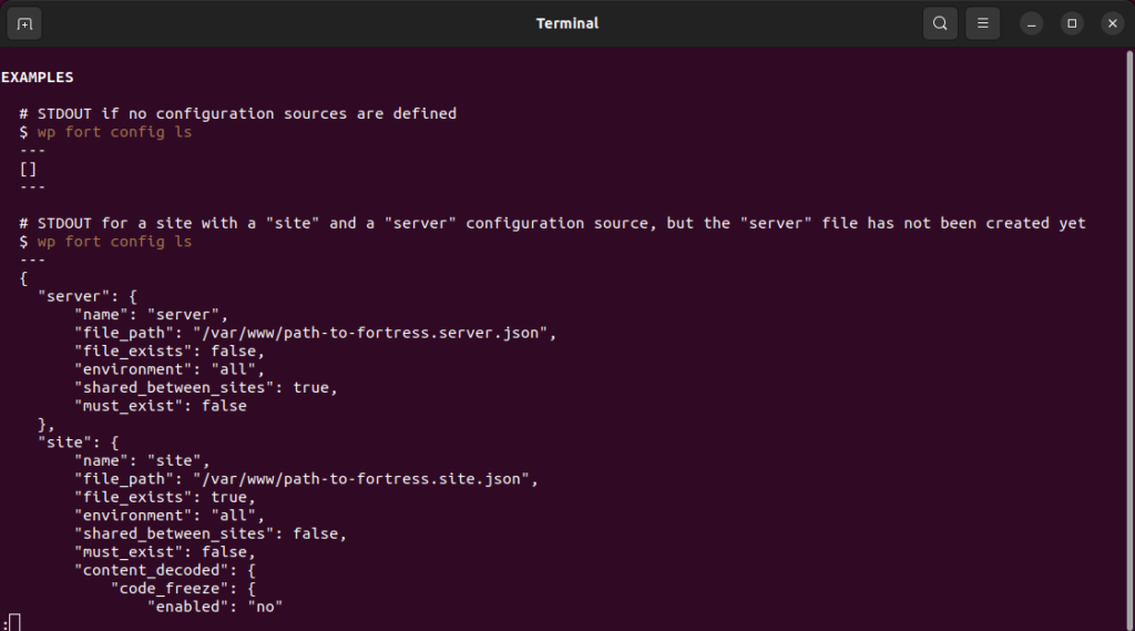 An image that shows that output of running "wp fort config ls --help"
